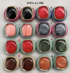 ボタンカボション250⑤ 9/5