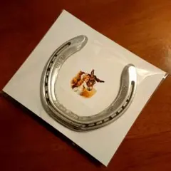 【本物の蹄鉄】馬蹄