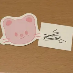 skzoo コンフェッティ 紙吹雪 straykids スキズ ペンミ サイン