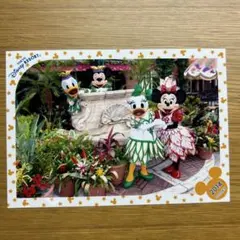 ディズニーシー スペシャルフォト 2014 トロピカルスプラッシュ