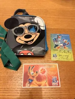 【すー様専用】ミッキーマウス パスケース、ディズニー15周年使用済みパス