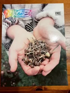VICE MAGAZINE VOLUME 6 NUMBER 6