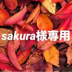 sakura様専用 おまとめ同梱 ユキオコシ イージー丼
