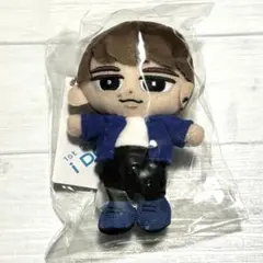 【新品未使用】SnowMan 渡辺翔太　すのチル　チルぬい