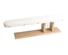 Item thumbnail for item 7c41a05e-dcc1-437c-b246-fd6ef9c8d5a4