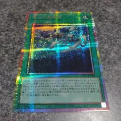 遊戯王 魔女の聖夜行 プリズマ プリシク ウィッチクラフトワルプル