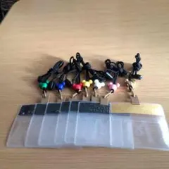 ホテルミラコスタ宿泊者限定　　　　　　　　　　チケットホルダー