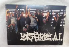 値下げ【初回限定版】A.I. 2006年日本武道館 ライブ DVD