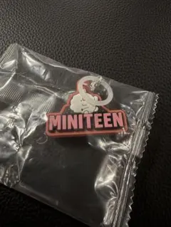 SEVENTEEN　セブチ　MINITEEN　めじるしアクセサリー　ウジ