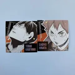 ハイキュー!! スクエアステッカーコレクション 第2弾 日向・影山