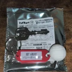 ハイキュー IGSTORE 音駒高校