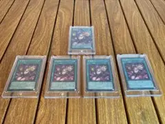 黒魔導のカーテン オーバーフレーム1枚、ほか4枚、計5枚セット