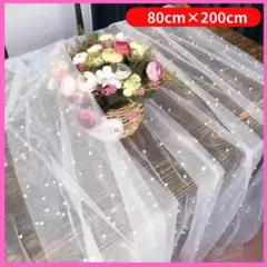 Item thumbnail for item 2ffd1ad7-96cb-4f15-bf1a-c6222ef94902