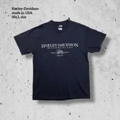 00s USA製Harley-Davidson星条旗ロゴ ボストン背面プリントL