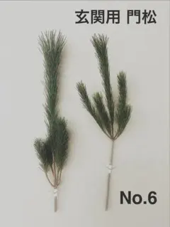 Item thumbnail for item 689aeadc-d448-433c-98da-d255288e4591