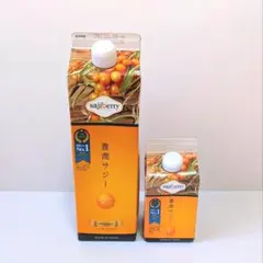 新品・未開封】豊潤サジー 1000ml 3本セット - メルカリ