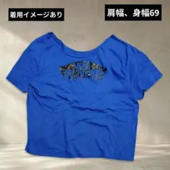 VANS オーバーサイズ ビッグTシャツ ワイドネック ドロップショルダー 青のサムネイル