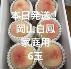山梨県産 至福の白鳳 新鮮朝採り EM栽培 2kg箱 - メルカリ