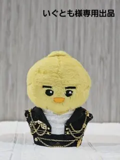 いぐとも様 専用出品