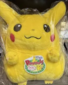 ポケモン30周年記念 おかえり!ピカチュウ 1/1