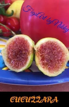 あきいも様 リクエスト 3点 まとめ商品