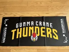 群馬クレインサンダーズ バスケットボール