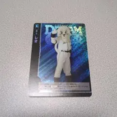 限定西武ライオンズ レオ トレーディングカード プロ野球
