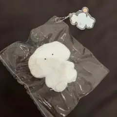 スクイーズ スタジオ系 TEDDYBEAR ぞう　テディベア