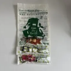 BE@RBRICK Kiss the Earth 伊勢丹コラボ3種セット