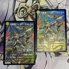 光夢龍フィオナ・フォレスト2枚③ - メルカリ