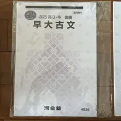 2026年最新】河合塾 早大古文の人気アイテム - メルカリ