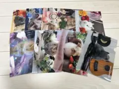 LOVE RABBIT CLEAR FILES