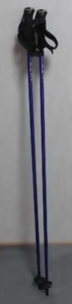 2026年最新】LEKI 長さ（cm）：115 〜 119.9cm スキー ストックの人気