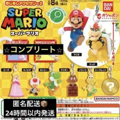 スーパーマリオ めじるしアクセサリー2
