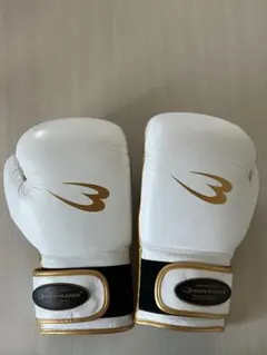 Item thumbnail for item d02b9042-1cbd-4687-89df-d135b045e95c