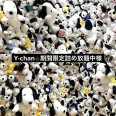 Y-chan⭐︎期間限定詰め放題中様