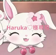 Haruka♡様専用