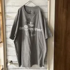 HanesヘインズDisneyウォルトディズニーワールドビックTシャツ古着屋購入
