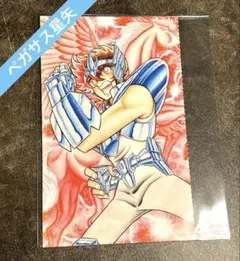 聖闘士星矢　ポストカード　ペガサス星矢