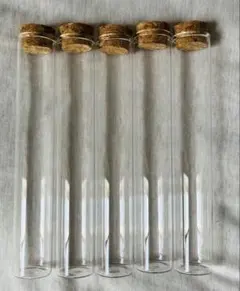 【お試し ガラス瓶 試験管 60ml コルク栓 小瓶 透明 5本セット】