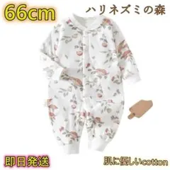 【66cm】 新生児 ロンパース シンプル 可愛い パンツ 長袖 夏 新生児