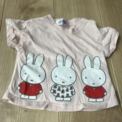 Item thumbnail for item 2a388a9c-08d5-4917-a269-c7feeeabf38b