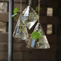 ガラス製三角錐型水挿し