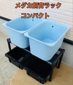 NVボックス13 窓付き 縦置き ブラック 飼育容器 4個セット - メルカリ