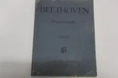 Item thumbnail for item 682d8a3b-7894-4414-a5d6-06488fb25114