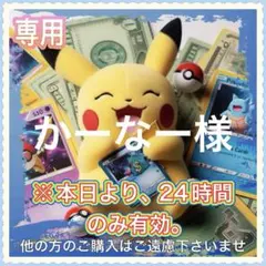 【かーなー様専用】 まとめてご購入用