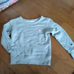 チャンピオントレーナー110