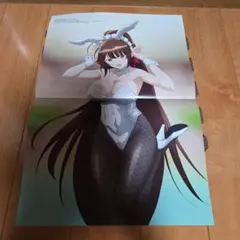 俺は星間国家の悪徳領主！ 両面ポスター