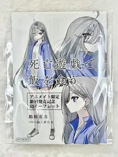 限定SSリーフレット