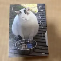 やさしいねこ